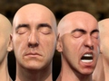[A Practical Appearance Model for Dynamic Facial Color]