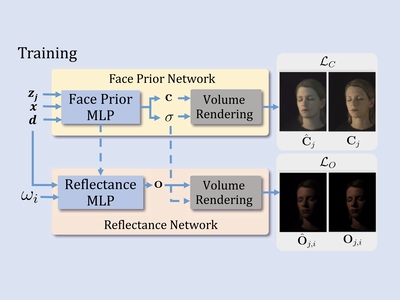 [A Deeper Analysis of Volumetric Relightiable Faces]
